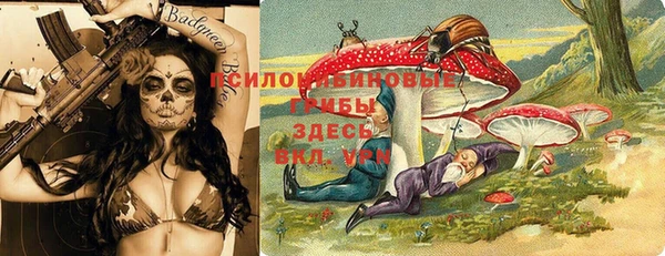 первитин Горнозаводск