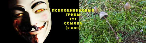 первитин Горнозаводск